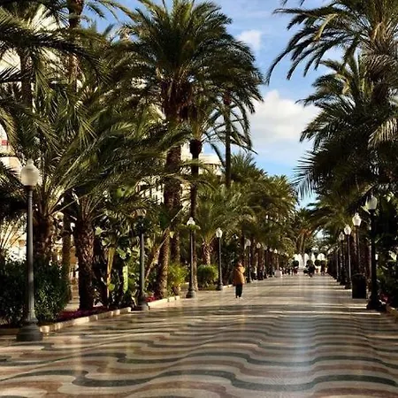Homestay 10-46-1- Комната В Квартире Для 4 Человек В Аликанте Alicante